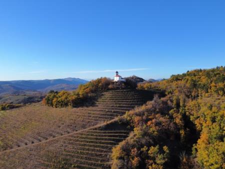 Postani vinar za en dan 14